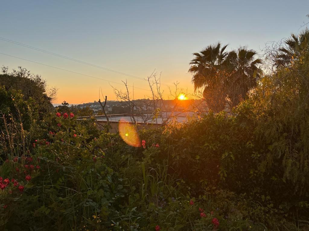 Casa Porto Palo Villa Bagian luar foto